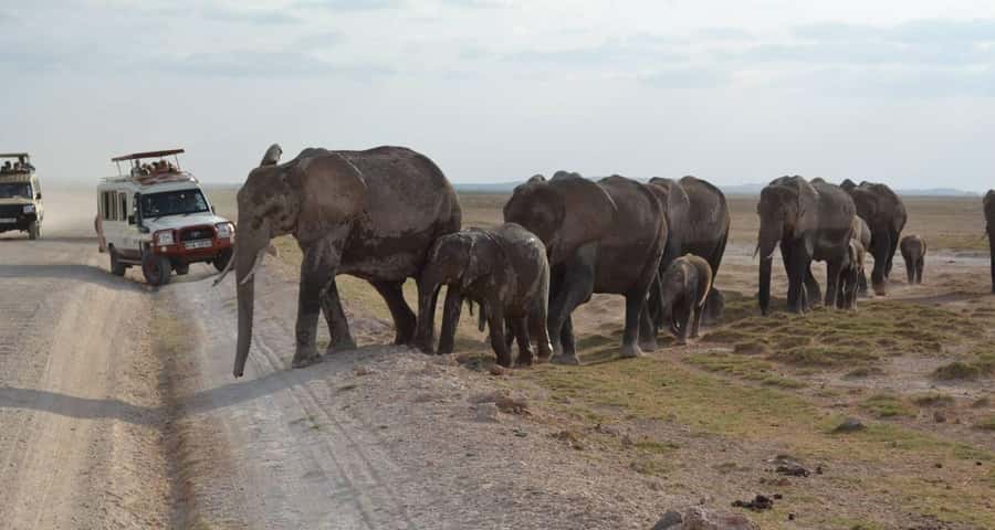 From Nairobi: 4-Day Amboseli and Tsavo Safari with Lodging - Day One: Nairobi to Amboseli and the First Sunset Drive