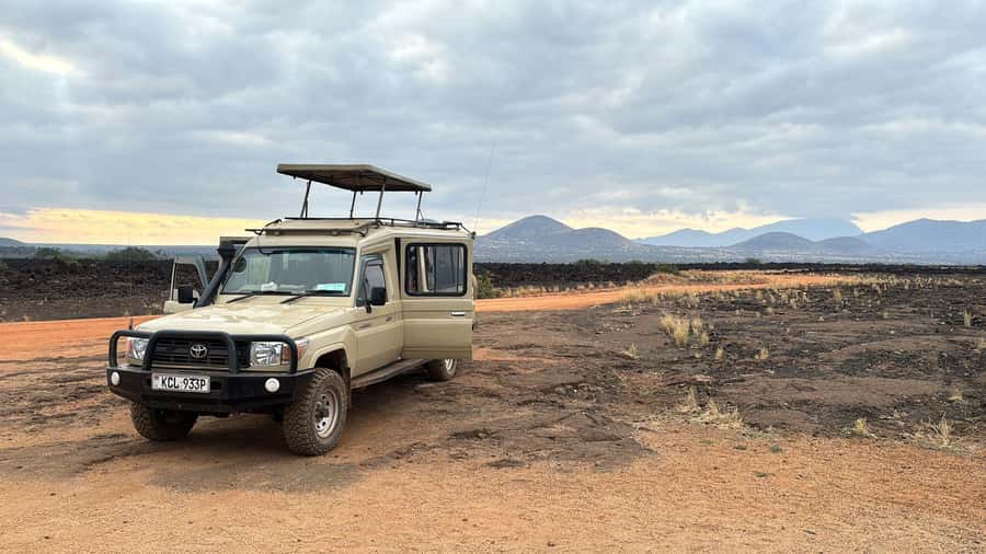 From Nairobi: 4-Day Maasai Mara and Lake Nakuru Group Safari - Day 2: The main Maasai Mara safari day