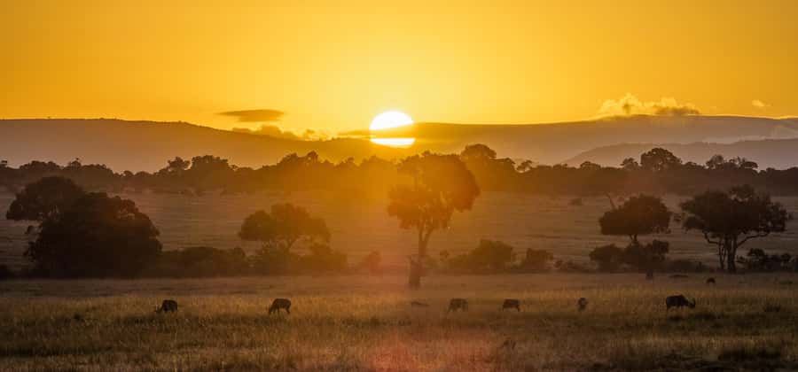 From Nairobi: 4-Day Maasai Mara and Lake Nakuru Group Safari - Day 1: Nairobi, the Rift Valley, and the first Mara drive