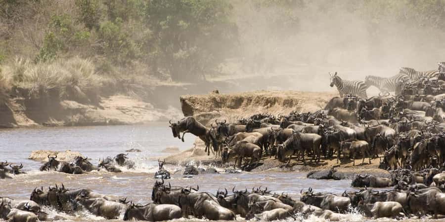 From Nairobi: 7-Day Kenya Safari Trip with Meals & Transport - Key points to know before booking