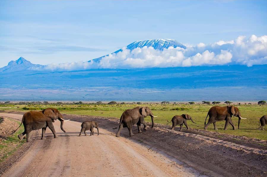 From Nairobi: 7-Day Kenya Safari Trip with Meals & Transport - Day 1: Nairobi to the Maasai Mara