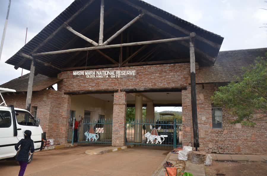 From Nairobi: 7 Days Masai Mara, Nakuru, and Amboseli Safari - Days 2 and 3: The Mara’s big cats, hippos, and crocodiles