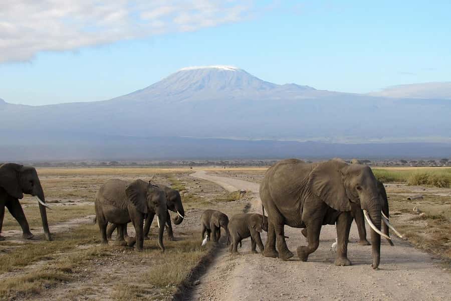 From Nairobi: Amboseli National Park Guided Tour - Entering Amboseli at Kimana Gate
