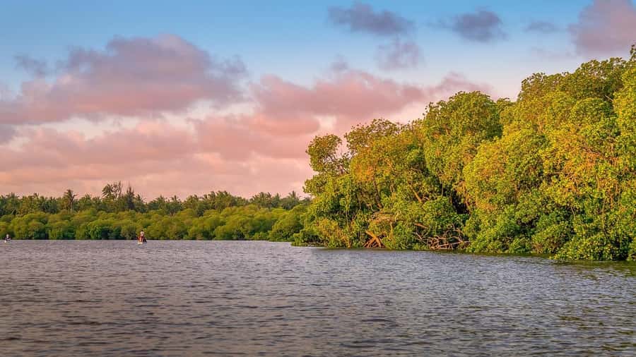 From Nairobi: Crescent Island Safari Experience - Why Crescent Island feels different from a vehicle safari