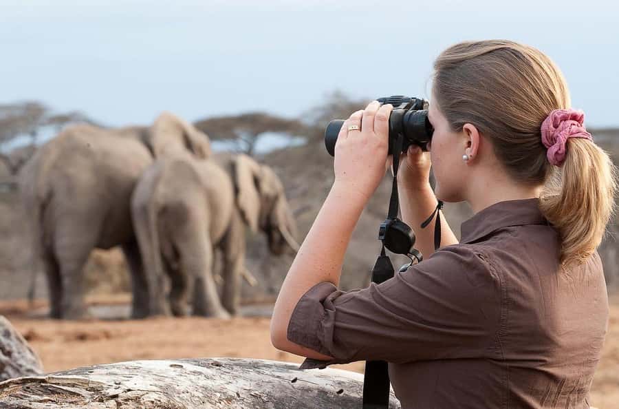 From Nairobi: Day Trip to Amboseli National Park - Why Amboseli works as a Nairobi day trip