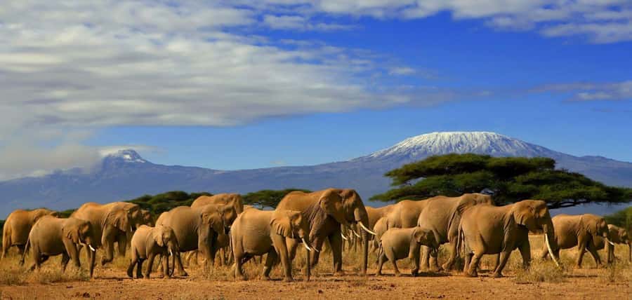 From Nairobi: Day Trip to Amboseli National Park - Arriving in Amboseli with a pop-up roof