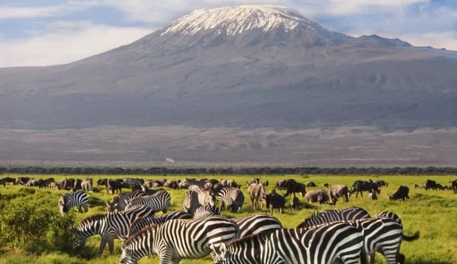 From Nairobi: Day Trip to Amboseli National Park - Mount Kilimanjaro, the view that may or may not appear