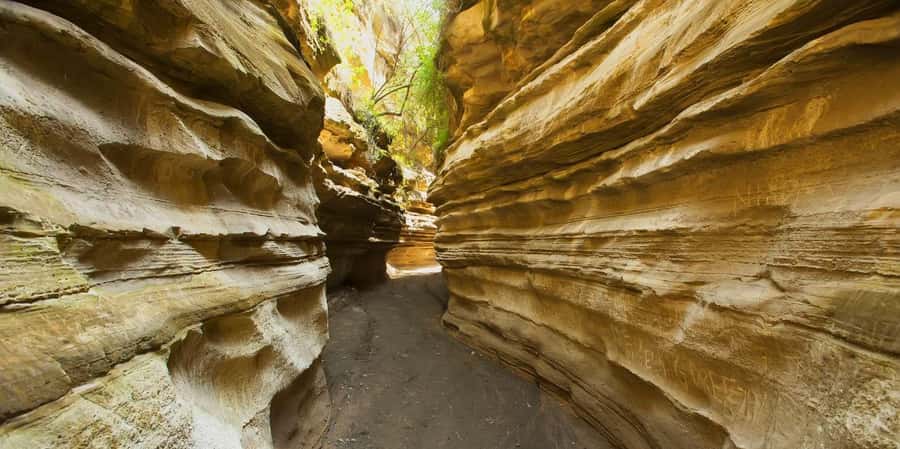 From Nairobi: Day Trip to Lake Naivasha and Hell's Gate - A one-hour boat ride on Lake Naivasha