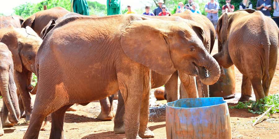 From Nairobi: Elephant Orphanage and Giraffe Center Day Trip - Kazuri Beads and the working craft tradition