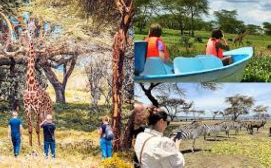 From Nairobi: Hells Gate & Lake Naivasha Day Trip - Who should book this Hell’s Gate and Naivasha day?
