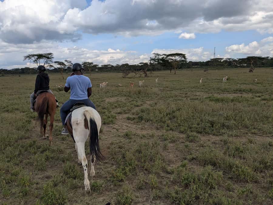 From Nairobi: Horseback Wildlife Safari with Transfer & Meal - Why this horseback safari feels different