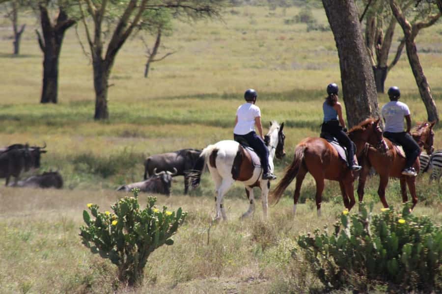 From Nairobi: Horseback Wildlife Safari with Transfer & Meal - Leaving Nairobi for Naivasha