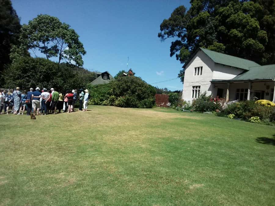 From Nairobi: Kiambethu Tea Farm Tour & Lunch - Entering the old indigenous forest