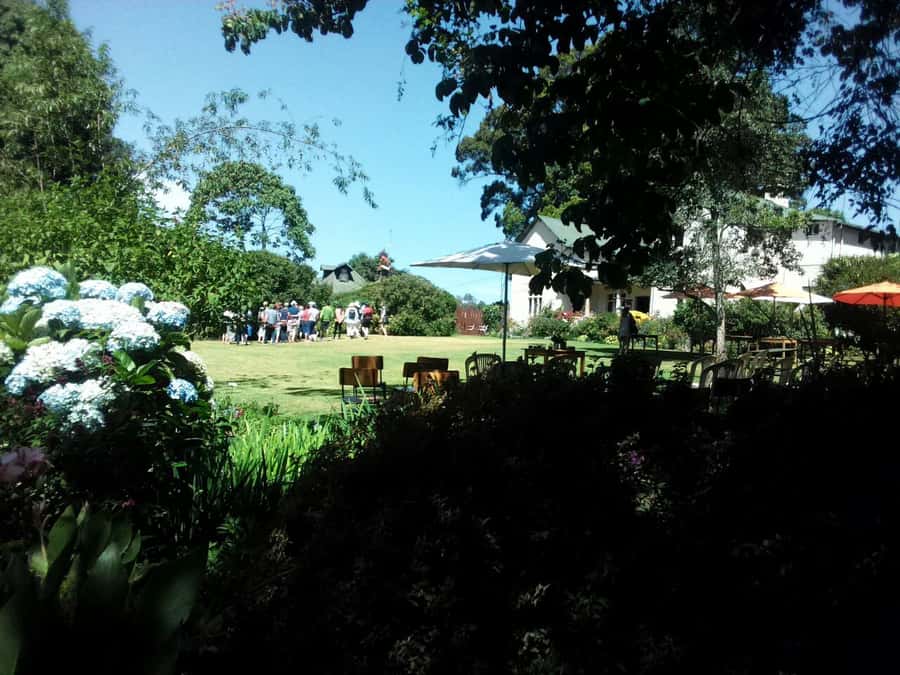 From Nairobi: Kiambethu Tea Farm Tour & Lunch - Lunch at the estate
