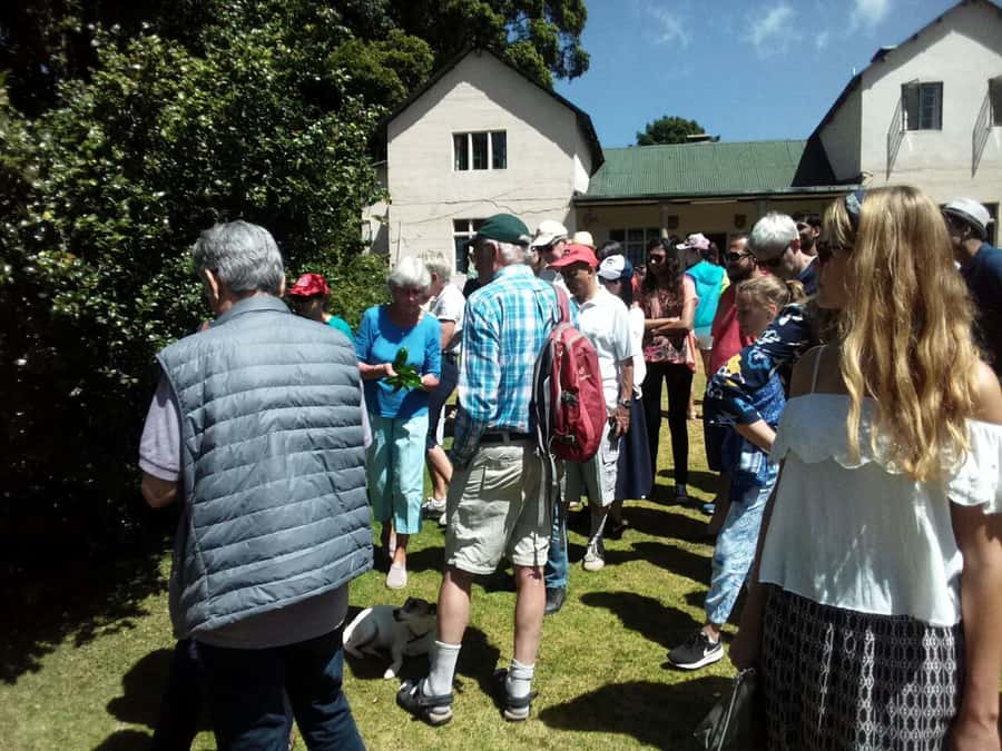 From Nairobi: Kiambethu Tea Farm Tour & Lunch - What the $160 price really buys