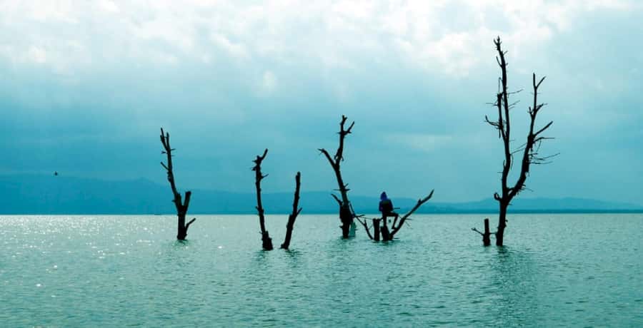From Nairobi: Lake Naivasha and Hell's Gate Park Day Tour - Horse riding gives you a third way through the park