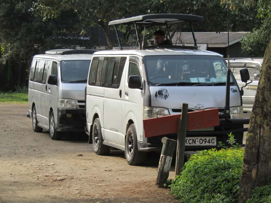 From Nairobi: Lake Nakuru National Park Day-Trip - Lake Nakuru and the changing flamingo spectacle