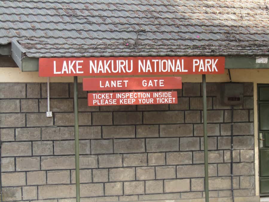 From Nairobi: Lake Nakuru National Park Day-Trip - The 6:00 AM departure and Great Rift Valley viewpoint