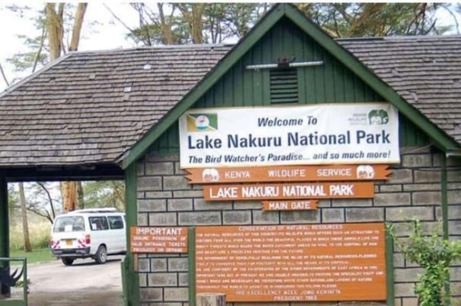 From Nairobi: Lake Nakuru National Park Full-Day Tour - Four hours among rhinos, giraffes, and big cats