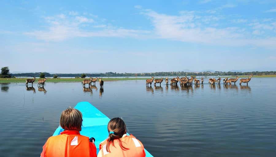 From Nairobi: Lakes Nakuru & Naivasha National Park Day Tour - Lake Nakuru: flamingos, rhinos, and serious bird country