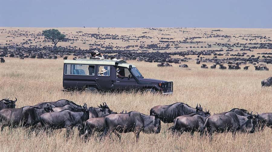 From Nairobi: Masai Mara 3-day Camping Safari by Jeep - Key points before you book