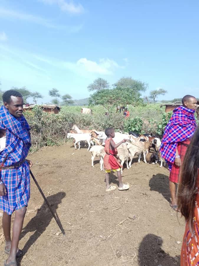 From Nairobi: Masai Tribe Village Visit - The USD 52 price and the extra admission fee