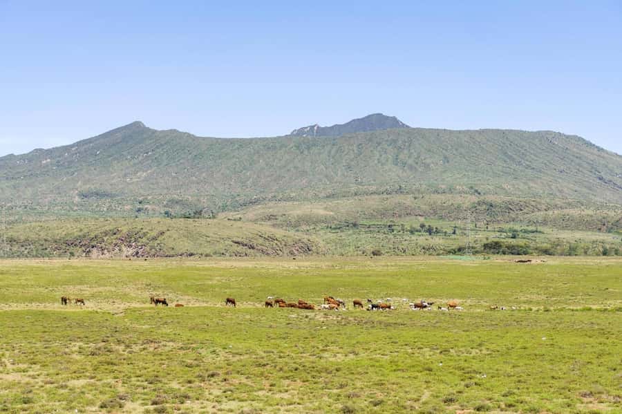 From Nairobi: Mt Longonot Hiking Day Tour - What the $90 tour price really offers