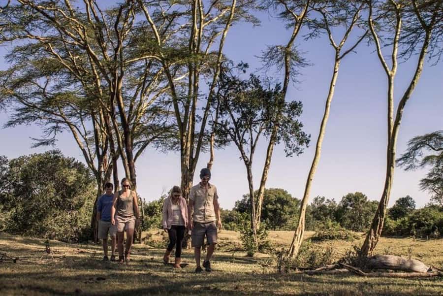 From Nairobi: Ol Pejeta Conservancy Day Trip with Game Drive - The northern white rhino enclosure