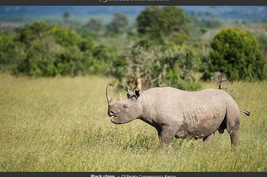 From Nairobi: Ol Pejeta Conservancy Day Trip with Game Drive - The early road to Nanyuki and the Equator Marker
