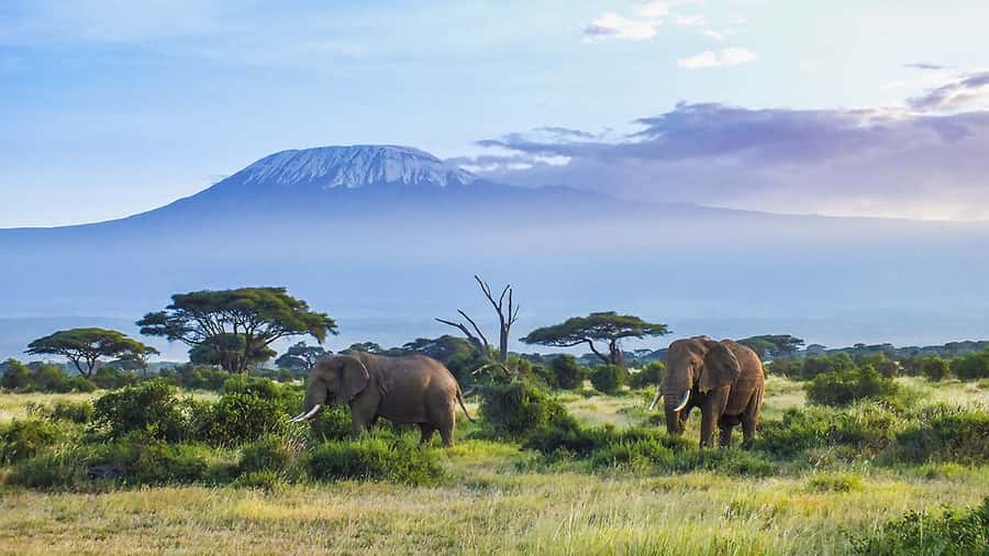From Nairobi or Mombasa: Amboseli National Park 3 Day Tour - Why three days works well in Amboseli