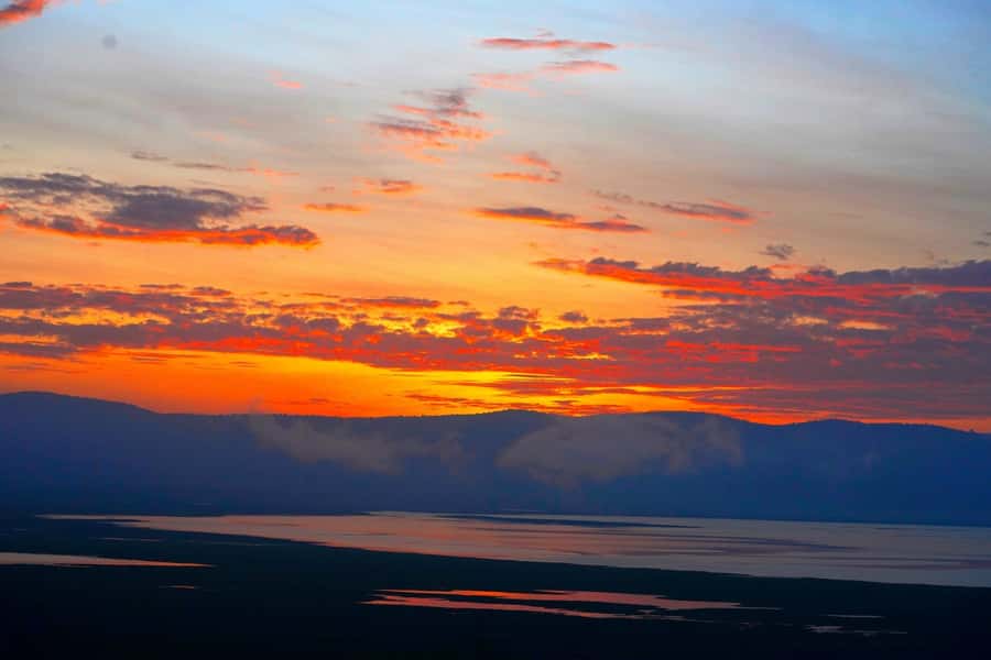 From Nairobi or Mombasa: Amboseli National Park 3 Day Tour - Is $1,115 a good value?