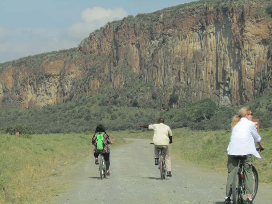 From Nairobi to Lake Naivasha Day Trip (Hells Gate visit) - Guide service and the small-group advantage