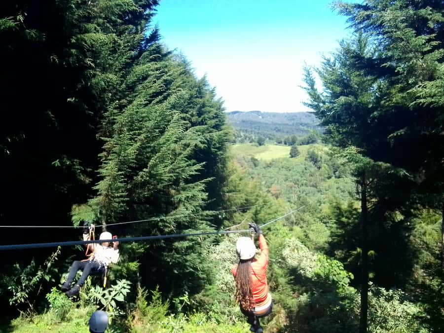 From Nairobi: Zipline Adventure Safari - Key points at a glance