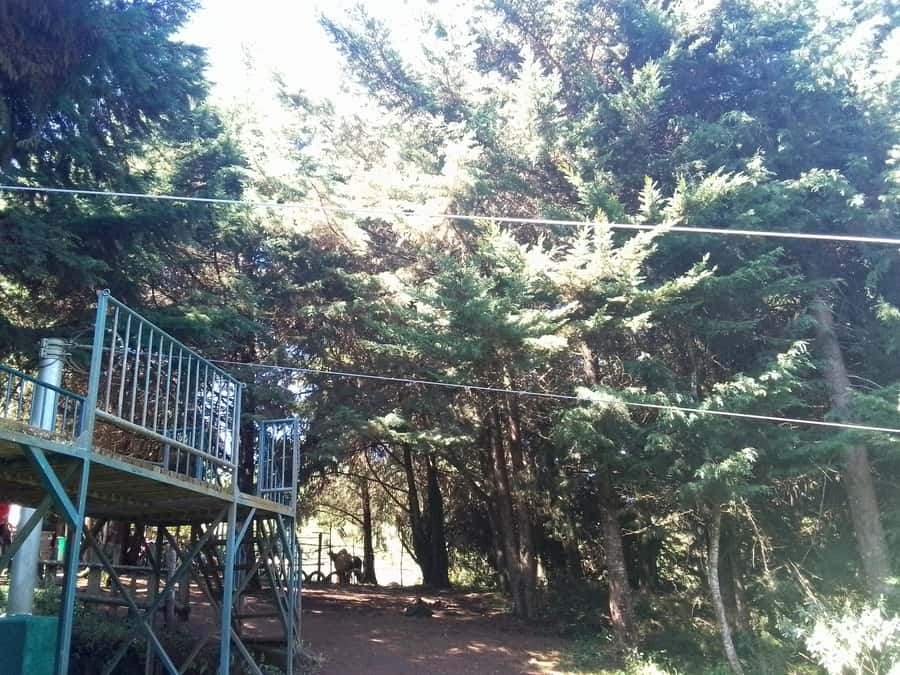 From Nairobi: Zipline Adventure Safari - Leaving Nairobi at 8:30 AM