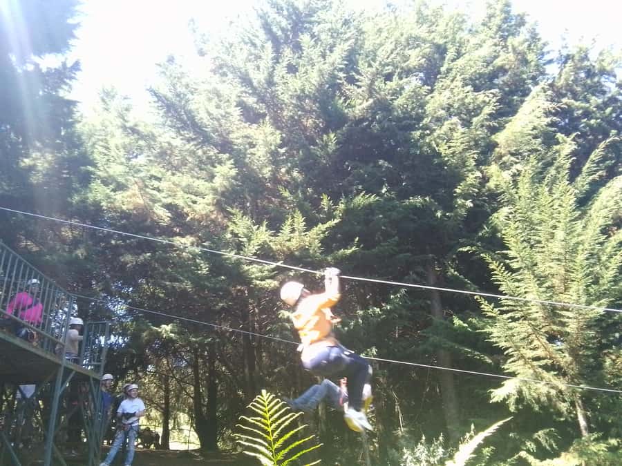 From Nairobi: Zipline Adventure Safari - Reaching Kereita Forest in the Aberdare Ranges