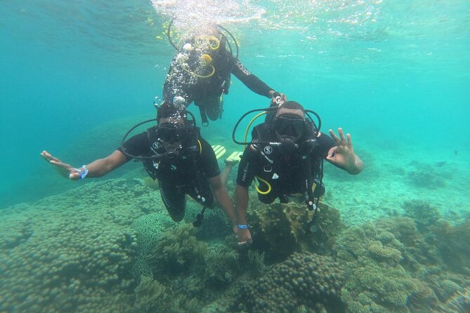 Full Day Dolphin Watching with Snorkeling in Wasini - Boat ride through Wasini Canal
