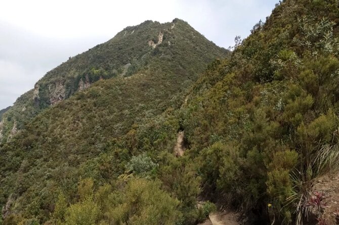 Full-Day Hiking Guided Adventure at Mount Longonot - Why Mount Longonot makes a strong day trip from Nairobi