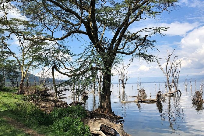 Full-Day Lake Nakuru National Park from Nairobi - What the driver-guide can add to the day
