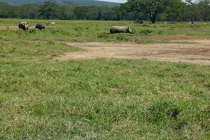 Full-Day Lake Nakuru National Park Private Tour from Nairobi - Key points to know before booking