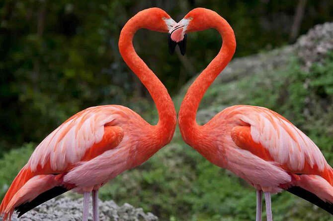 Full-Day Lake Nakuru National Park Private Tour from Nairobi - Entering Lake Nakuru National Park around 9:00am