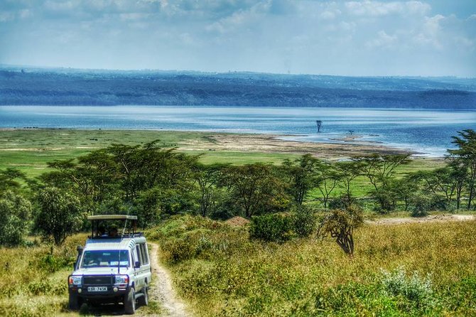 Full Day Lake Nakuru Park and optional boat ride on Lake Naivasha - Flamingoes at Lake Nakuru: keep expectations flexible