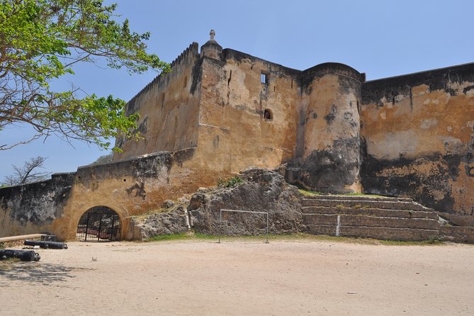 Full Day Mombasa Excursion Tour - Three hours with animals at Haller Park