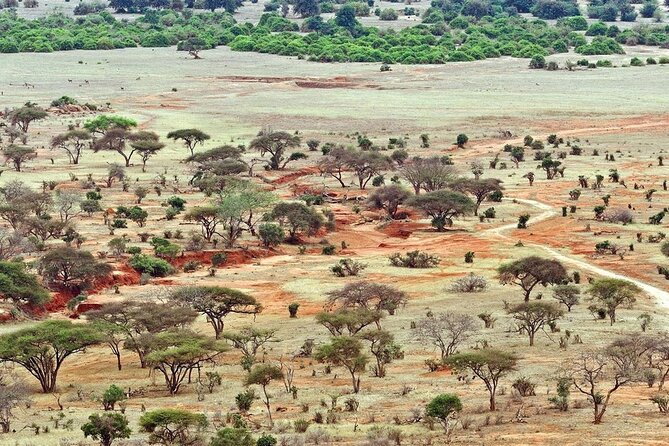Full Day Private Tour of Tsavo East National Park from Mombasa - Aruba Dam, a useful wildlife stop