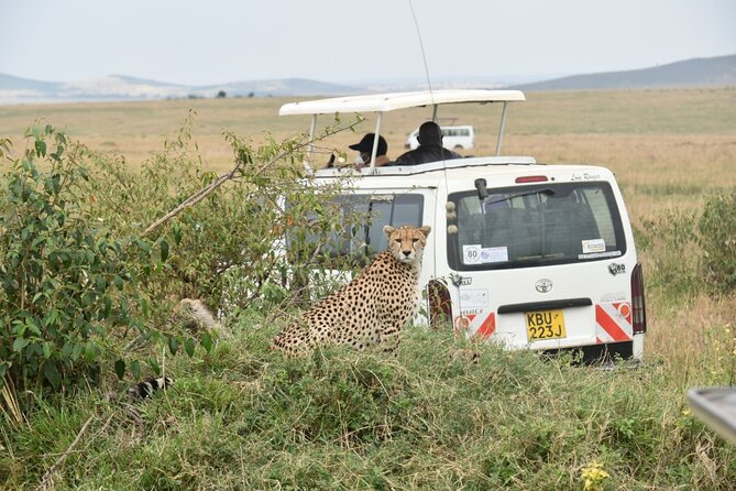 Full Day Private Tour of Tsavo East National Park from Mombasa - Is $315 per person fair value?
