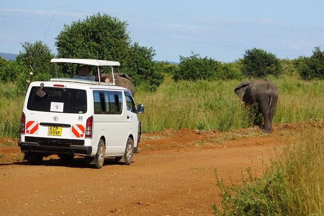 Full Day Private Tour Ol Pejeta Conservancy from Nairobi - Baraka, the blind rhino