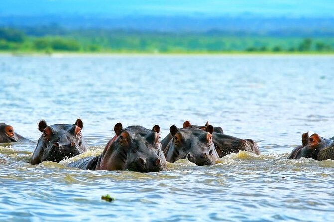 Full day private tour to Hells Gate National park from Nairobi. - Lake Naivasha adds a relaxed finish