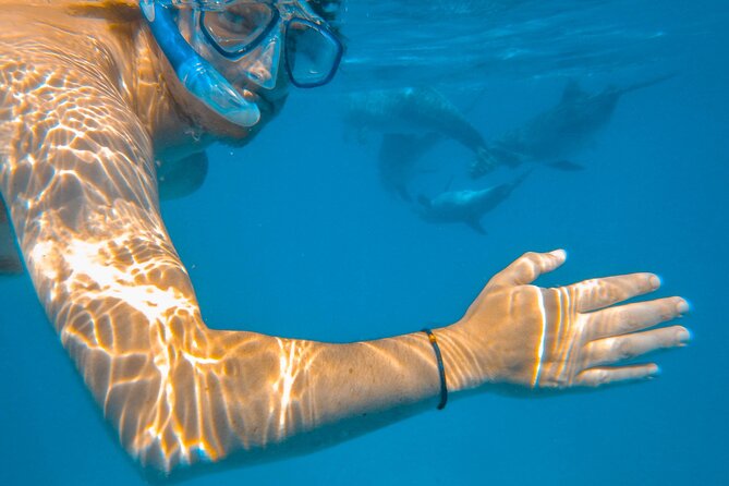 Full-Day Special Wasini Island Tour with Snorkeling and Lunch - Key points at a glance