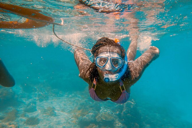 Full-Day Special Wasini Island Tour with Snorkeling and Lunch - Why this Wasini Island tour is good value