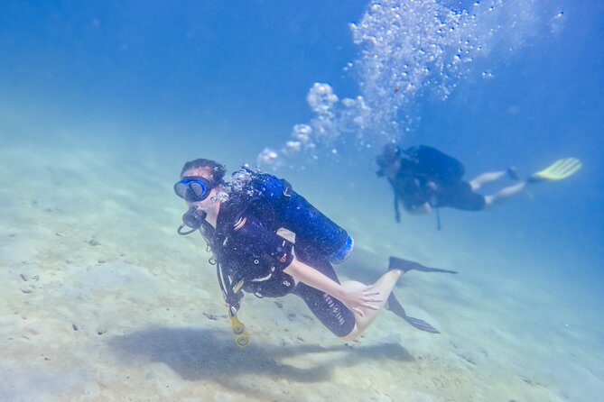 Full-Day Special Wasini Island Tour with Snorkeling and Lunch - Coral Garden and the Wasini village walk
