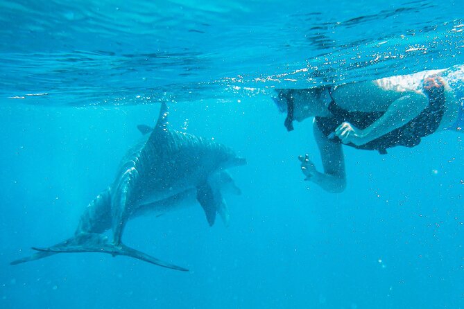 Full-Day Special Wasini Island Tour with Snorkeling and Lunch - The Slave Caves near Shimoni